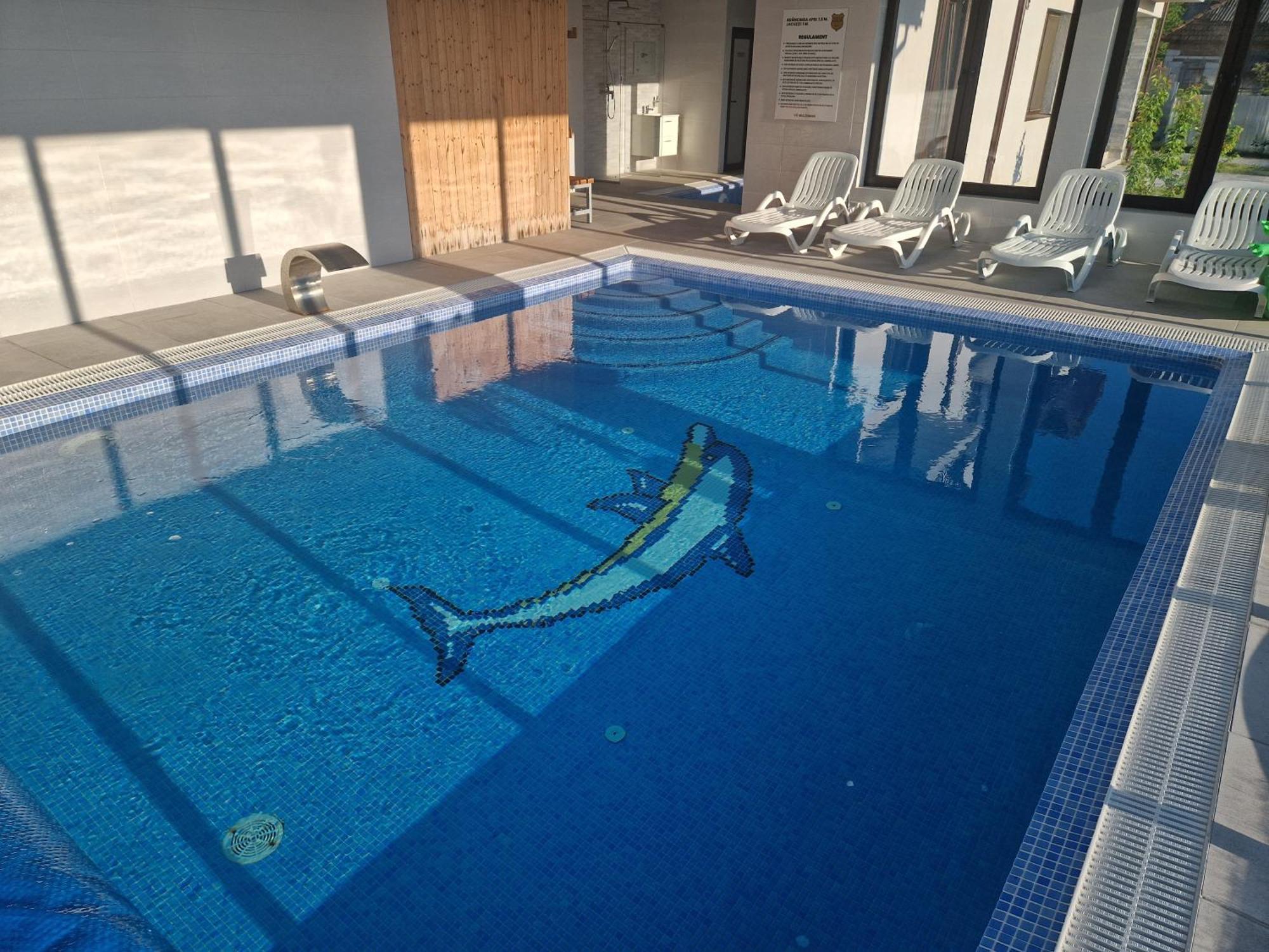 Villa Cabanutele Din Lemn à Chiscau Extérieur photo